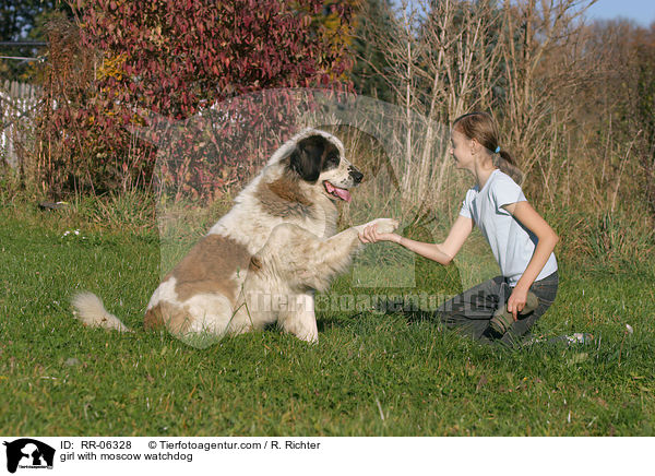 Mdchen mit Moskauer Wachhund / girl with moscow watchdog / RR-06328
