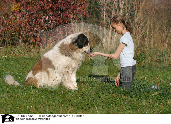 Mdchen mit Moskauer Wachhund / girl with moscow watchdog / RR-06329