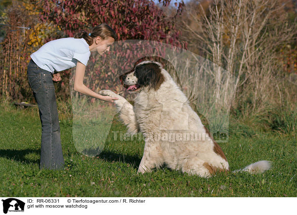 Mdchen mit Moskauer Wachhund / girl with moscow watchdog / RR-06331