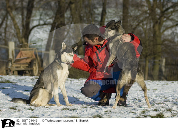 Mann mit seinen Huskies / man with huskies / SST-01043