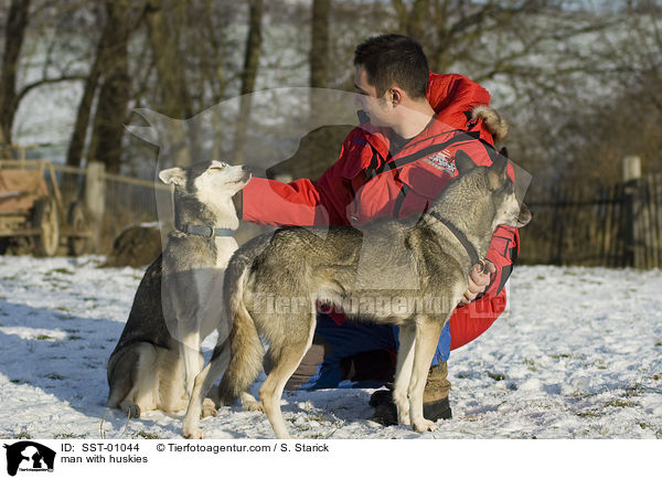 Mann mit seinen Huskies / man with huskies / SST-01044