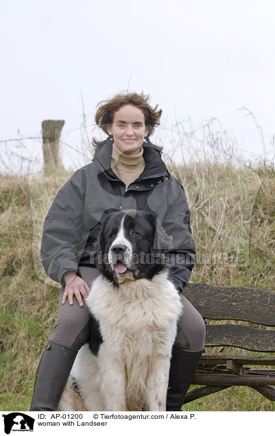 woman with Landseer / AP-01200