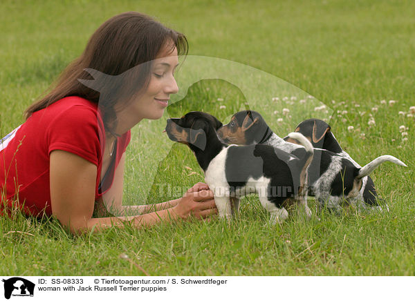 junge Frau mit Jack Russell Terrier Welpen / woman with Jack Russell Terrier puppies / SS-08333