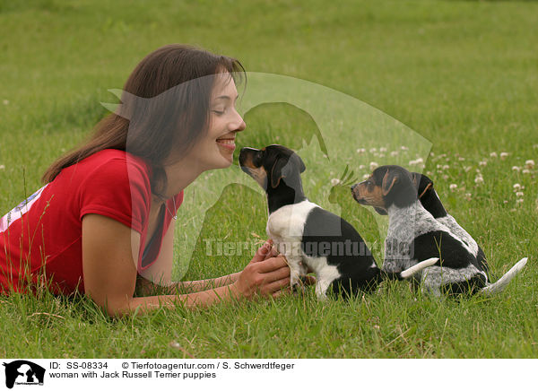 junge Frau mit Jack Russell Terrier Welpen / woman with Jack Russell Terrier puppies / SS-08334