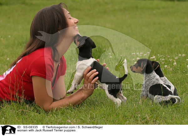 junge Frau mit Jack Russell Terrier Welpen / woman with Jack Russell Terrier puppies / SS-08335