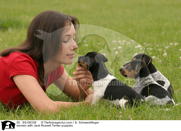 junge Frau mit Jack Russell Terrier Welpen / woman with Jack Russell Terrier puppies / SS-08336