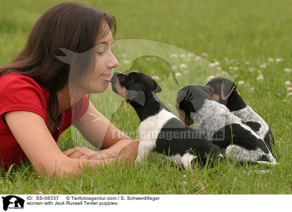 junge Frau mit Jack Russell Terrier Welpen / woman with Jack Russell Terrier puppies / SS-08337