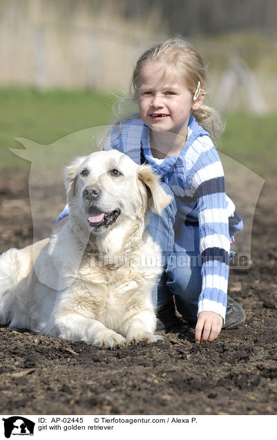 Mdchen mit Golden Retriever / girl with golden retriever / AP-02445