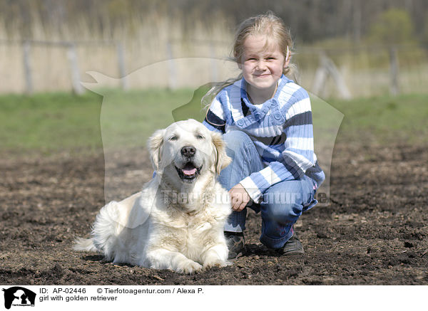 Mdchen mit Golden Retriever / girl with golden retriever / AP-02446