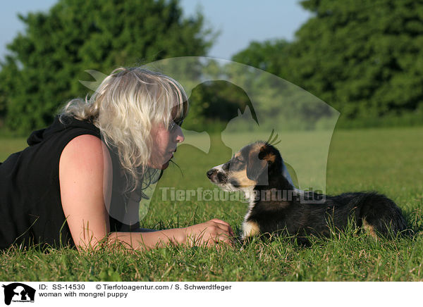 Frau mit Border-Collie-Mischling Welpe / woman with mongrel puppy / SS-14530