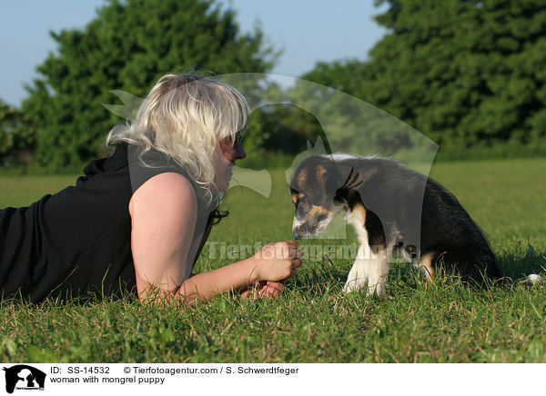 Frau mit Border-Collie-Mischling Welpe / woman with mongrel puppy / SS-14532