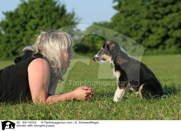 Frau mit Border-Collie-Mischling Welpe / woman with mongrel puppy / SS-14533