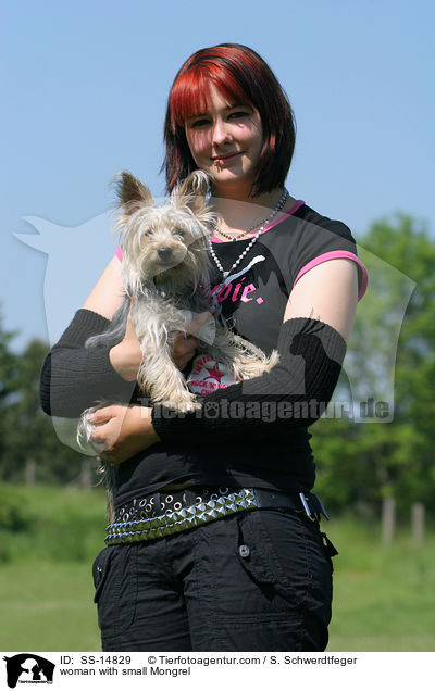 Frau mit Yorkshire-Terrier-Mischling / woman with small Mongrel / SS-14829