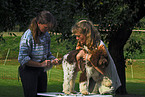 dog on trimming table