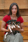 woman with Jack Russell Terrier puppies