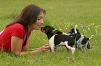 woman with Jack Russell Terrier puppies