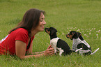 woman with Jack Russell Terrier puppies