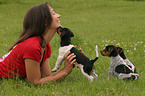 woman with Jack Russell Terrier puppies