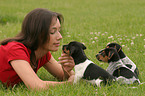 woman with Jack Russell Terrier puppies