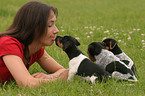 woman with Jack Russell Terrier puppies