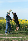 playing German Shepherd