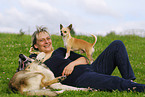 woman with dogs