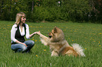 woman with Eurasier