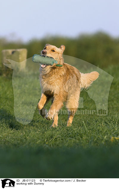 Dummyarbeit / working with Dummy / JB-01123