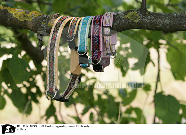 collars / DJ-01633