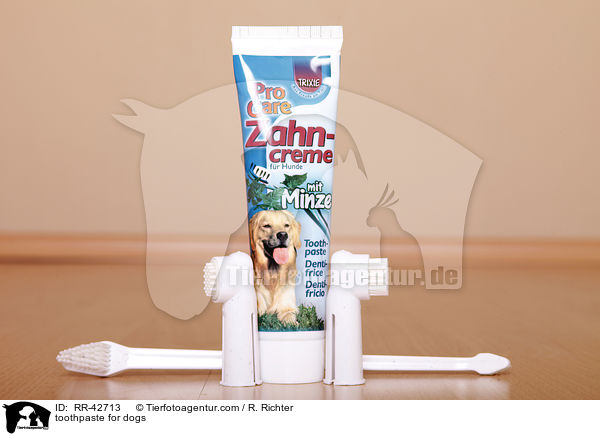 Zahncreme fr Hunde / toothpaste for dogs / RR-42713