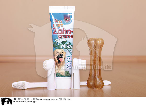 Zahnpflege fr Hunde / dental care for dogs / RR-42716