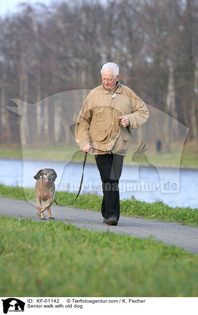 Senior geht Gassi mit altem Hund / Senior walk with old dog / KF-01142