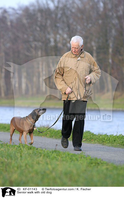 Senior geht Gassi mit altem Hund / Senior walk with old dog / KF-01143