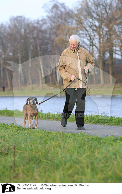 Senior walk with old dog / KF-01144