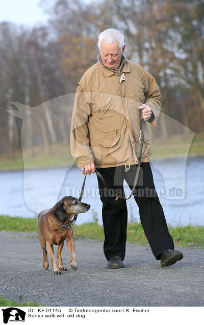 Senior geht Gassi mit altem Hund / Senior walk with old dog / KF-01145