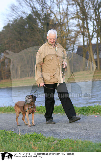 Senior geht Gassi mit altem Hund / Senior walk with old dog / KF-01146