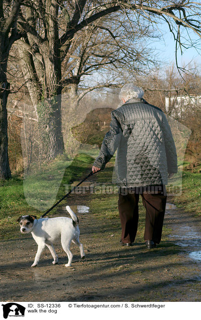 Gassi gehen mit Parson Russell Terrier / walk the dog / SS-12336