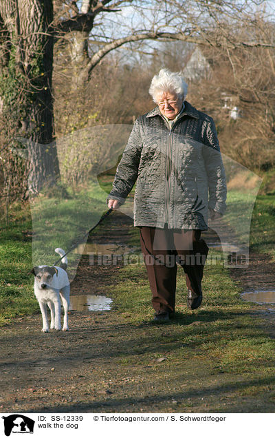 Rentnerin geht mit  Parson Russell Terrier spazieren / walk the dog / SS-12339
