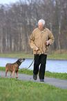 Senior walk with old dog
