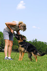 German Shepherd