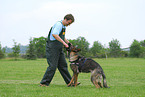 training protection dog