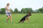 training protection dog