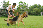training protection dog