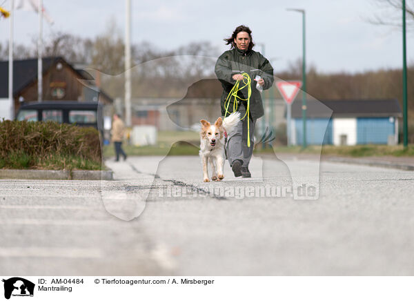 Personensuche / Mantrailing / AM-04484