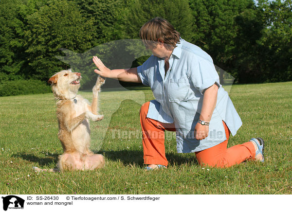 Frau und Podenco-Mix / woman and mongrel / SS-26430