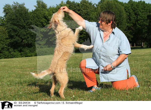 Frau und Podenco-Mix / woman and mongrel / SS-26434