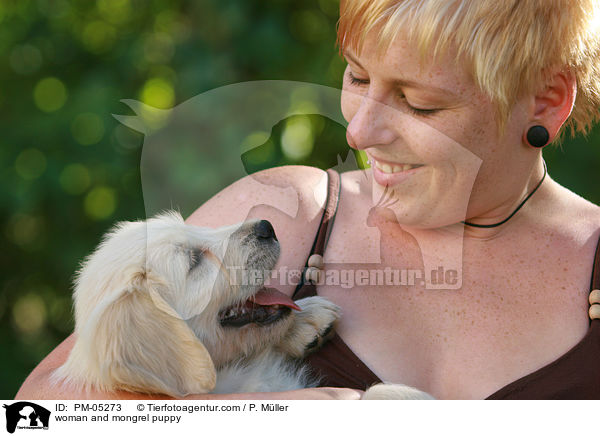Frau und Schnauzer-Golden-Retriever-Mix Welpe / woman and mongrel puppy / PM-05273