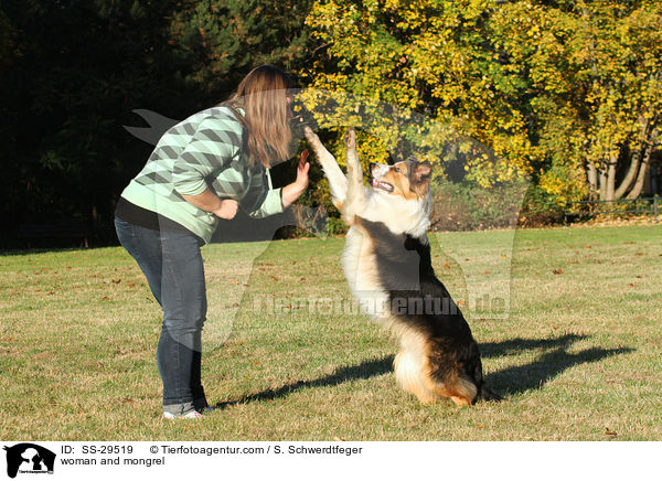 Frau und Australian-Shepherd-Mischling / woman and mongrel / SS-29519