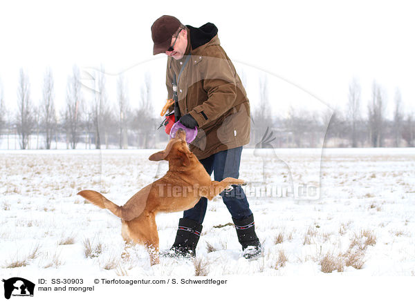 Mann und Golden-Retriever-Terrier-Mix / man and mongrel / SS-30903