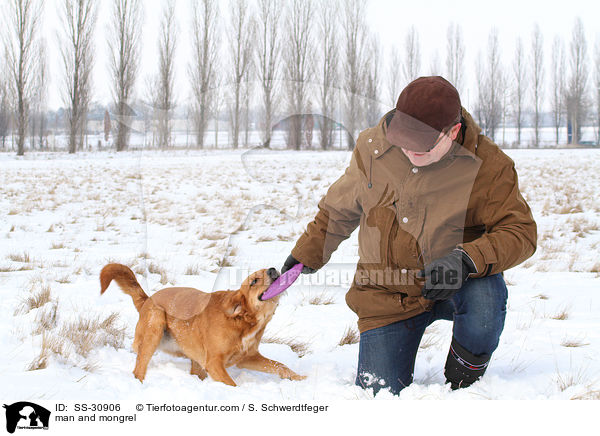 Mann und Golden-Retriever-Terrier-Mix / man and mongrel / SS-30906